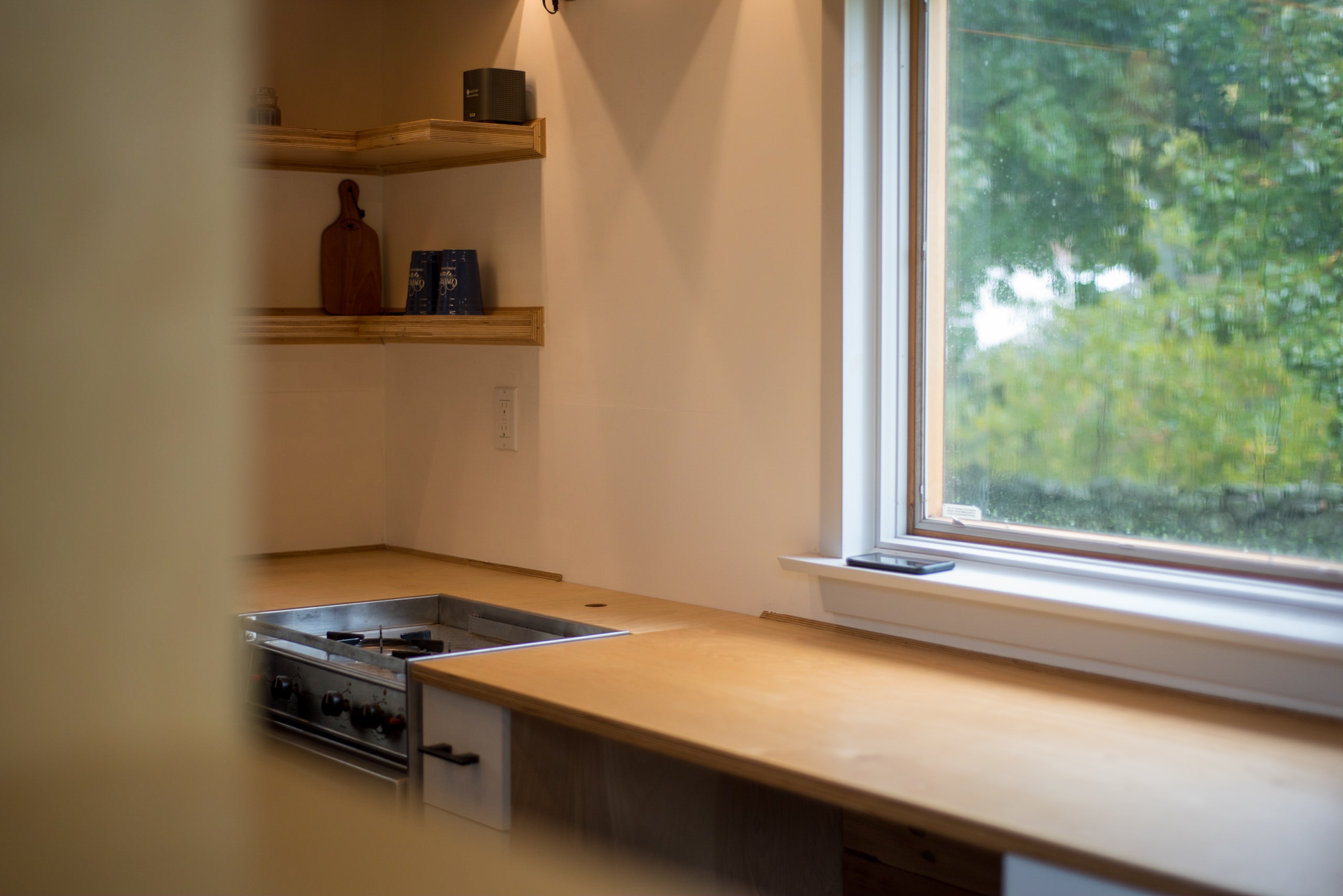 Kitchen counter and window